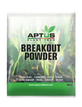 BREAK-OUT POWDER 100 G