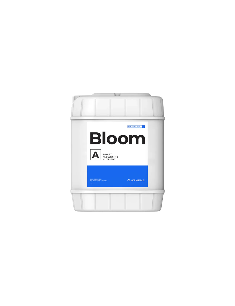 BLOOM A 18.92L ATHENA