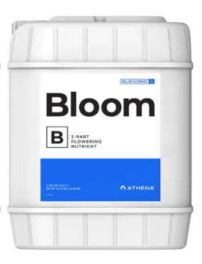 BLOOM B 18.92L ATHENA