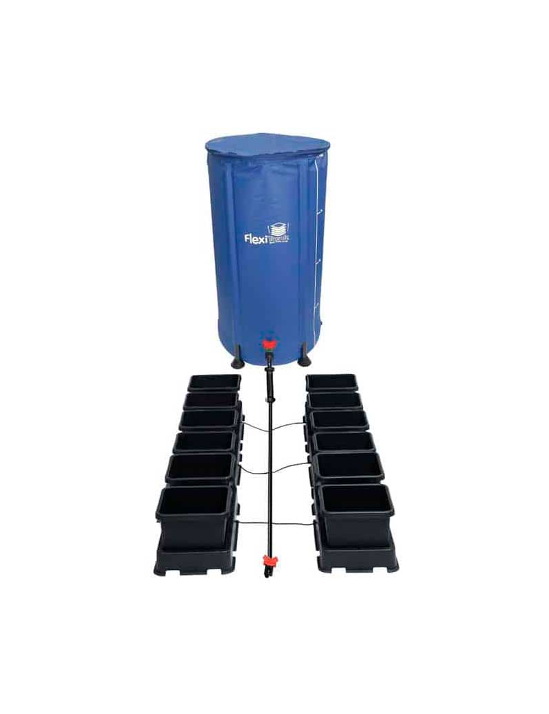 EASY2GROW 12 (MACETA 8,5L)