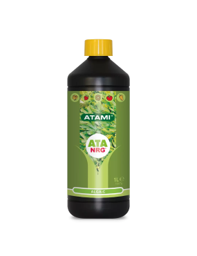 ALGA C 1L ATAMI