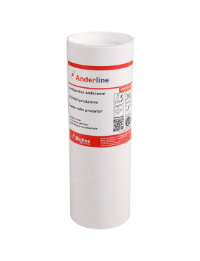 AMBLYSEIUS ANDERSONI 25000...