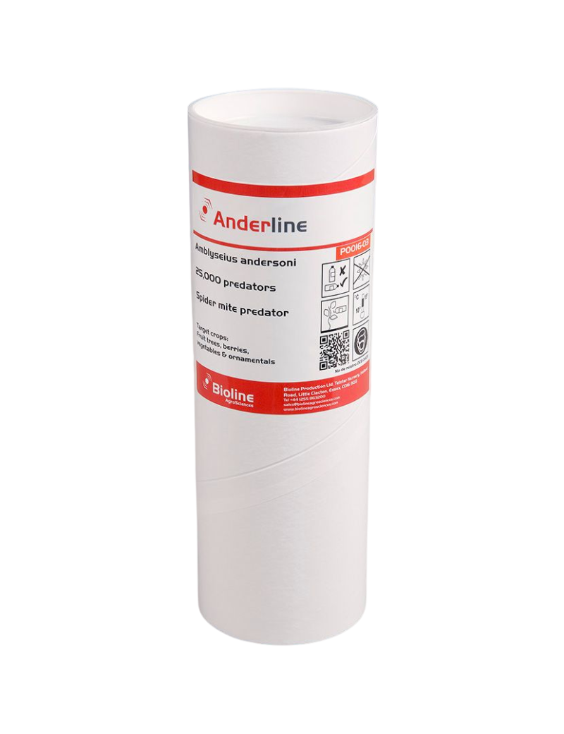 AMBLYSEIUS ANDERSONI 25000 BIOLINE