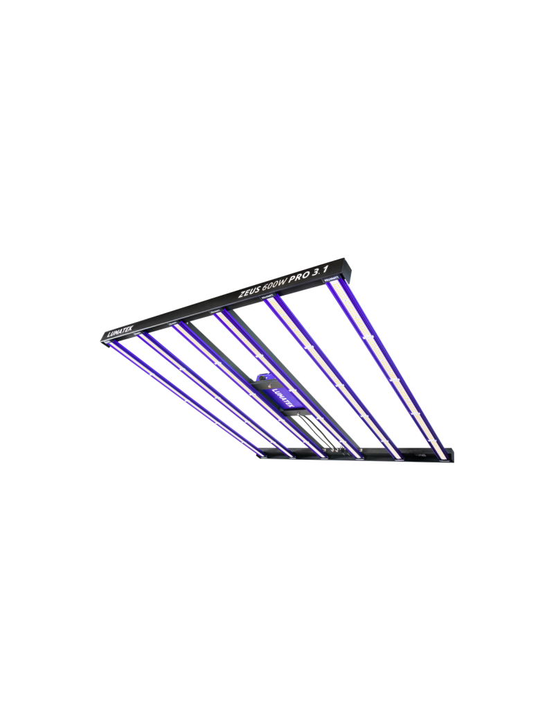 LUMATEK ZEUS 600W PRO 3.1