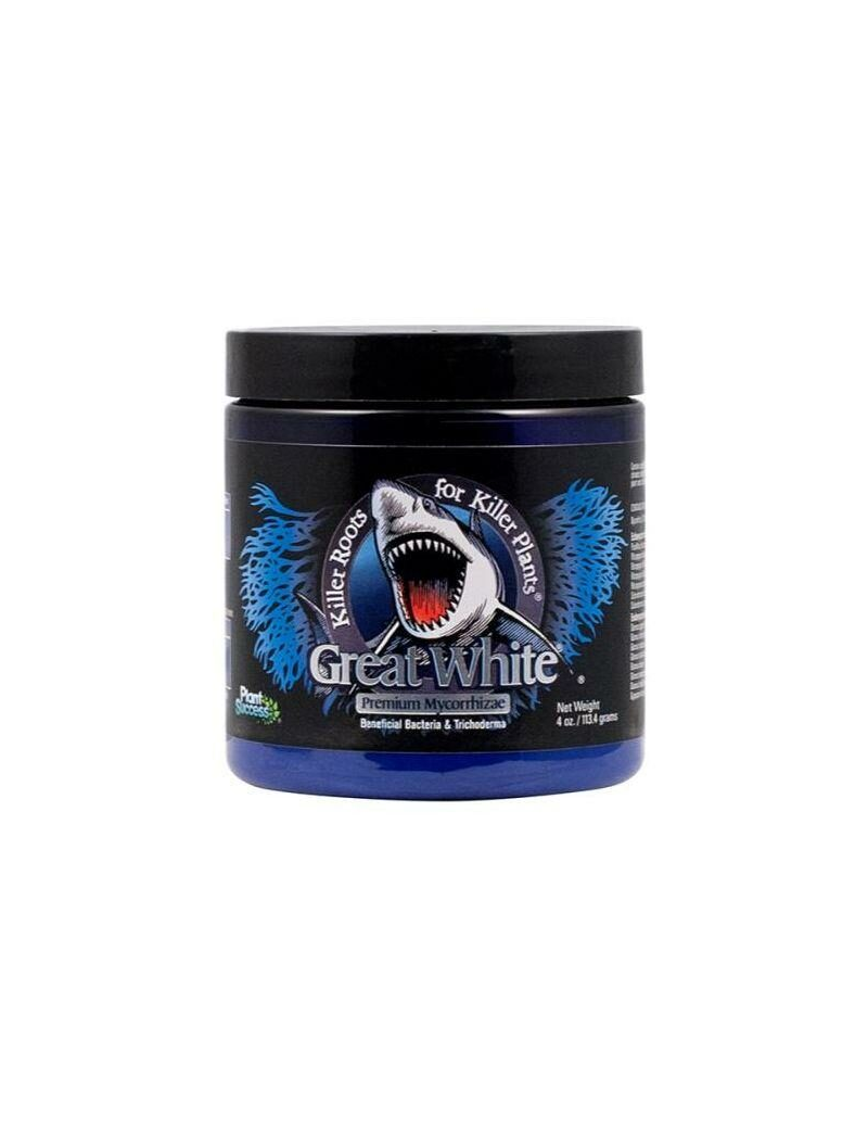 GREAT WHITE SHARK 227G