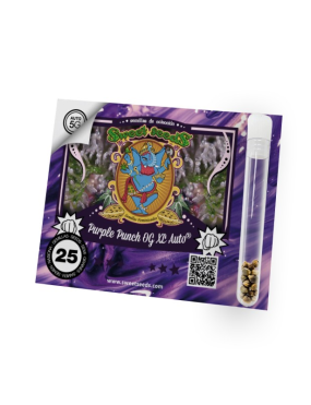 SEMILLAS GENEHTIK PACK 25