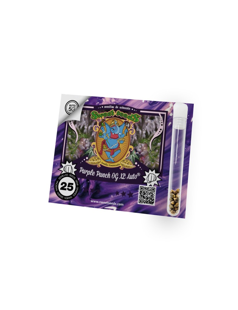 SEMILLAS GENEHTIK PACK 25