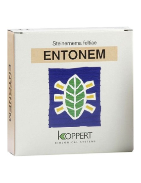 ENTONEM 50 MILLONES (MOSCA...