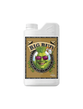 BIG BUD COCO 1L ADVANCED...