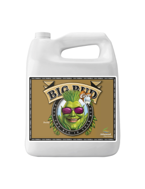 BIG BUD COCO LIQUID 5L...