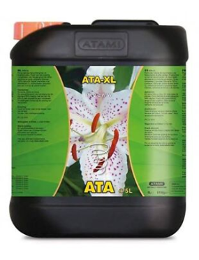 ATA XL 5L