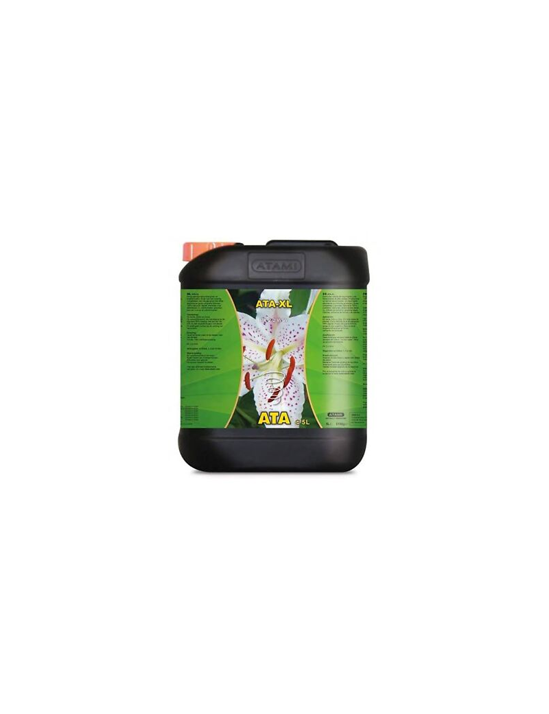 ATA XL 5L