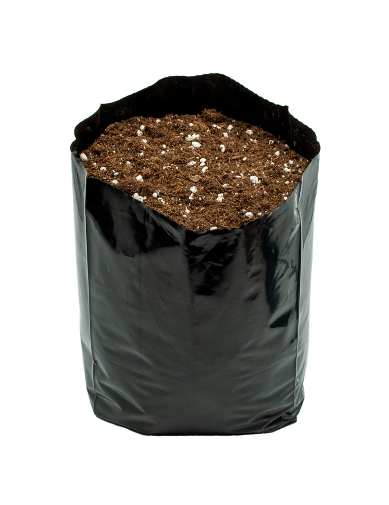 BOLSA DE CULTIVO 37X18 7,57L (50UDS)