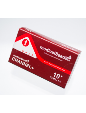 CHANEL + 10S. MEDICAL SEEDS