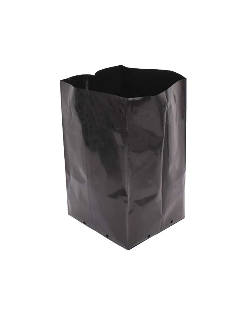 BOLSA DE CULTIVO 4L 22X35CM