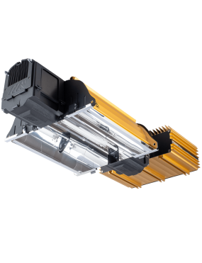 DIMLUX EXPERT MKII 1000W...