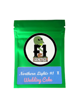 NORTHERN LIGHTS 1S GENEHTIK