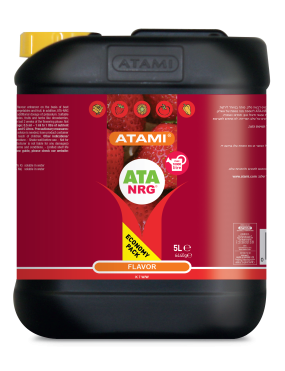 FLAVOR 5L ATAMI