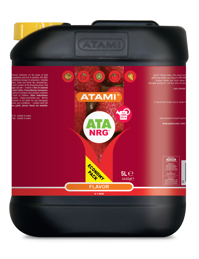 FLAVOR 5L ATAMI