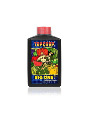 BIG ONE 1L TOP CROP