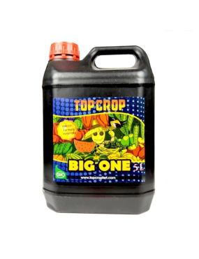 BIG ONE 5L TOP CROP