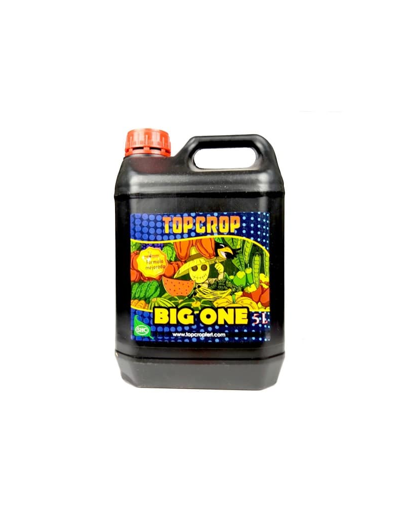 BIG ONE 5L TOP CROP