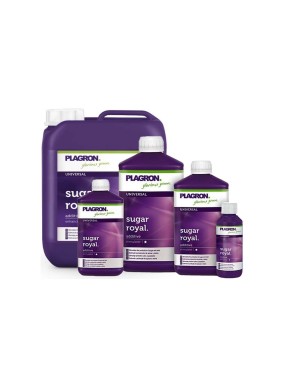 SUGAR ROYAL 5L ( PLAGRON )