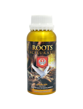 ROOT EXCELURATOR 1L