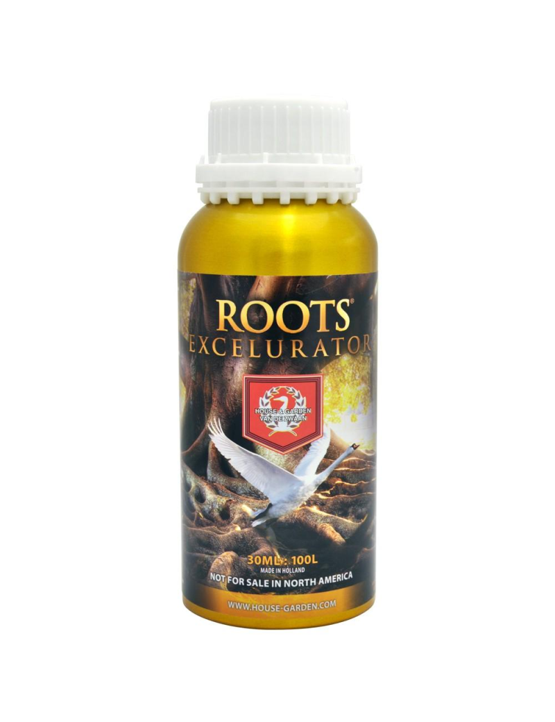ROOT EXCELURATOR 1L