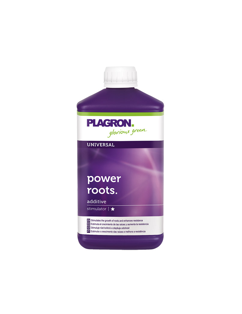 POWER ROOTS 1L
