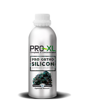 PRO-ORTHO SILICON 1 L