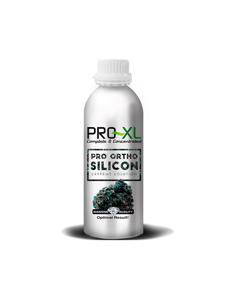 PRO-ORTHO SILICON 1 L