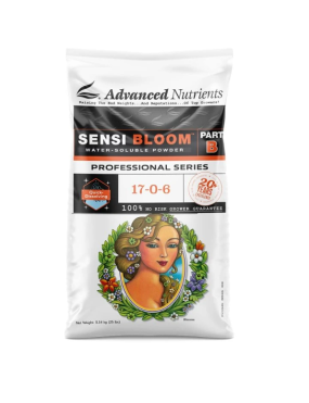 WSP SENSI BLOOM B 10K