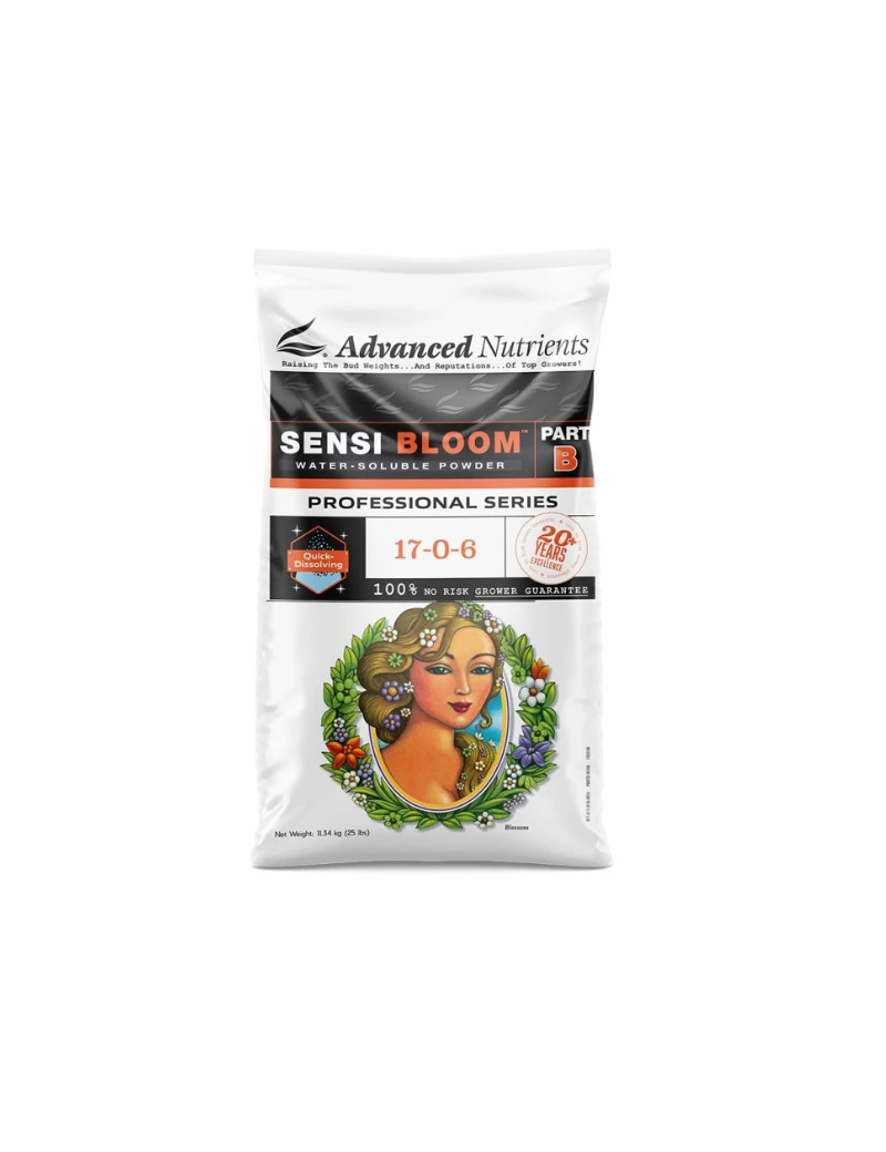 WSP SENSI BLOOM B 10K