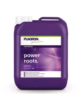 POWER ROOTS 20L PLAGRON