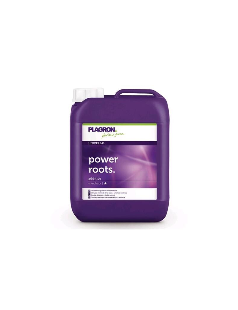 POWER ROOTS 20L PLAGRON
