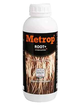 ROOT / ROOT + (METROP) 1L