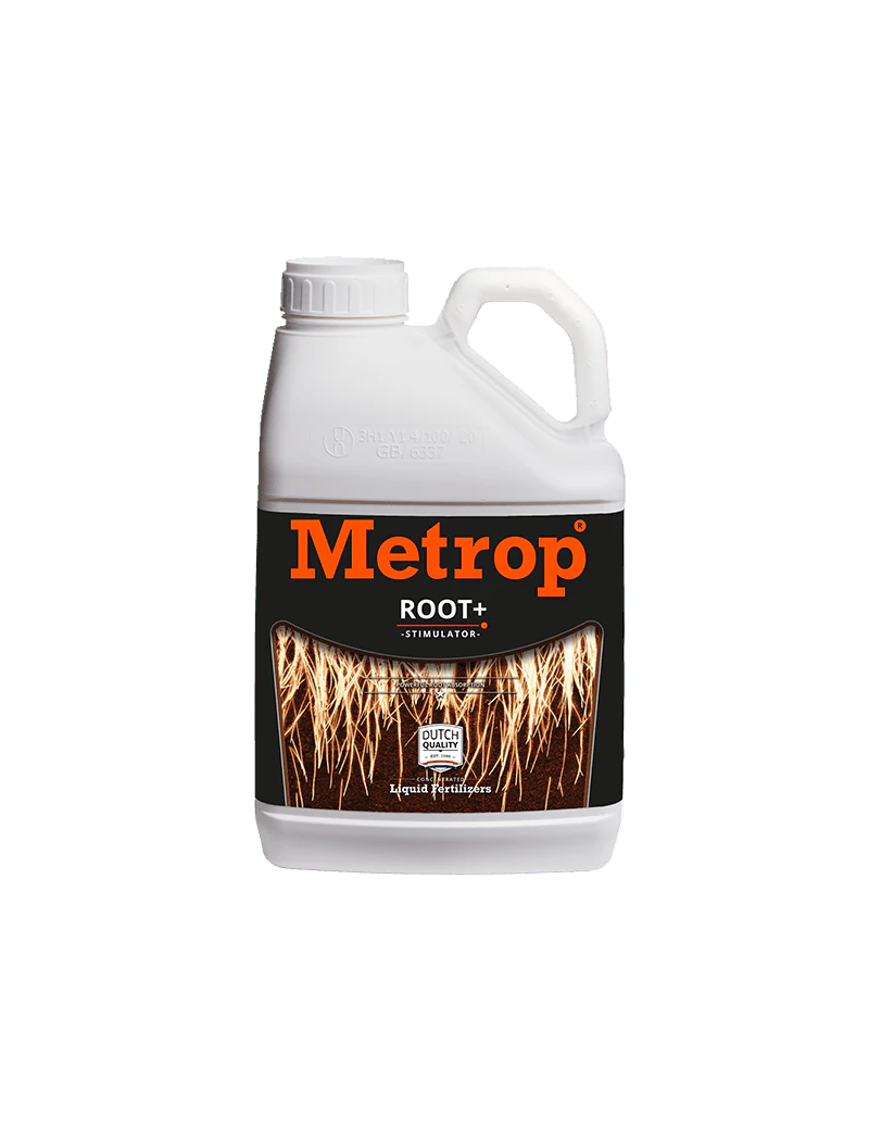 ROOT / ROOT + (METROP) 5L