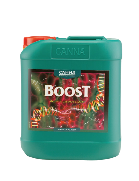 BOOST ACCELERATOR 5 L CANNA