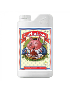 CARBO LOAD 1 L ADVANCED...