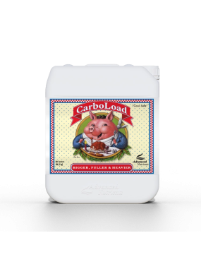 CARBOLOAD 5 L ADVANCED...