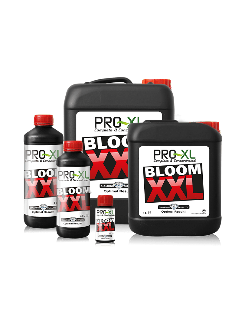 BLOOM XXL 5L PRO XL