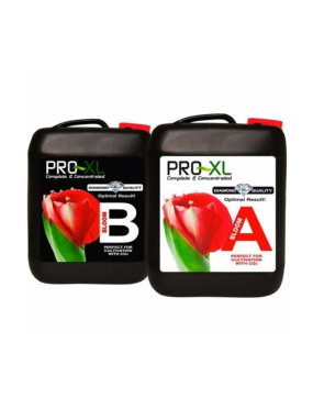 BLOOM A Y B 10L PRO-XL