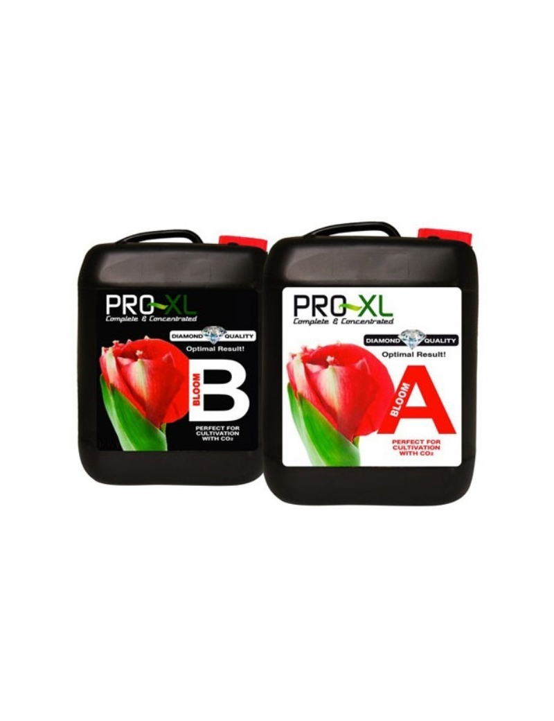 BLOOM A Y B 10L PRO-XL