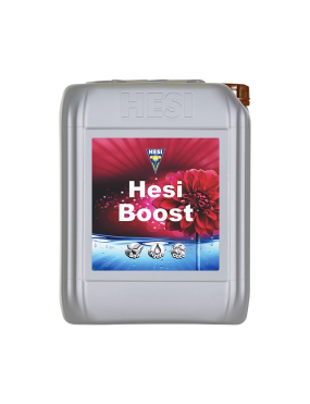 BOOST 10L ( HESI )