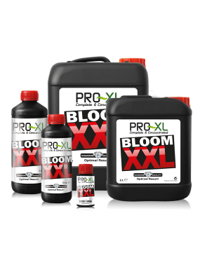 BLOOM XXL 10L PRO XL