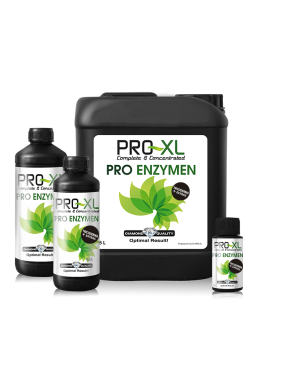 PRO ENZYMEN 1L PRO XL