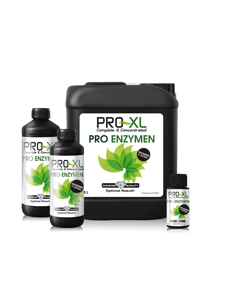 PRO ENZYMEN 1L PRO XL