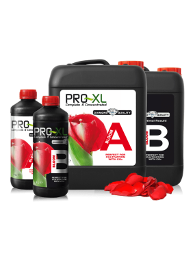 BLOOM A Y B 5L PRO XL