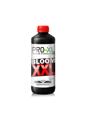 BLOOM XXL 1L PRO-XL